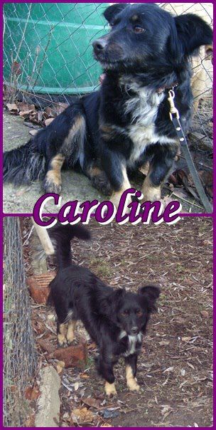 caroline1_sz..jpg