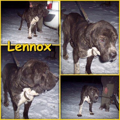 lennox_k..jpg